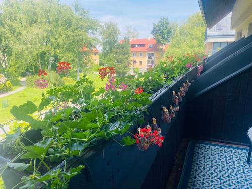 a balcony with flowers on a blue fence at Podlesanka Vysoké Tatry in Smokovce