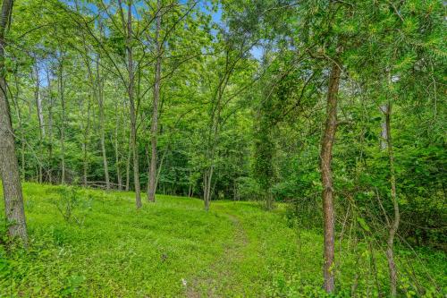 a dirt trail through a forest with trees at Otter Manor - Wifi - Fire Pit - Gameroom- Grill - Private Trail in Berkeley Springs