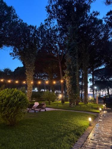 a park with a bench in the grass at night at Villa Zen Oasis in Golem