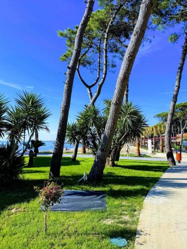 a park with palm trees and a sidewalk at Villa Zen Oasis in Golem