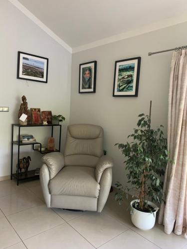 a living room with a chair and a plant at Artystyczna sielanka 