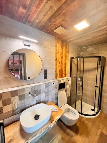 a bathroom with a toilet and a sink and a shower at Chata POD HOUBOVÝM VRCHEM 2 in Horní Planá