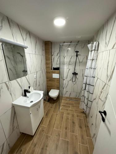 a bathroom with a sink and a shower and a toilet at Nobus Vila jezero in Veliko Gradište