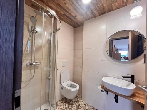 a bathroom with a shower and a toilet and a sink at Chata POD HOUBOVÝM VRCHEM 2 in Horní Planá