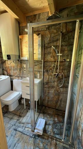 a bathroom with a shower and a toilet and a sink at DOMKI JANOSIK - Janosik Premium in Łopuszna