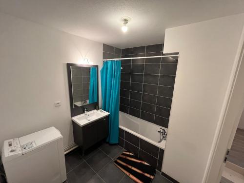une salle de bain avec un lavabo, une baignoire et un miroir dans l'établissement Charmant T3 avec balcon et parking, à Strasbourg