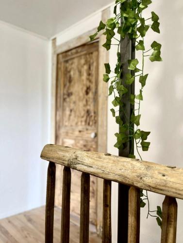 a wooden bench with a plant in front of a door at La Nyvolette in Avressieux