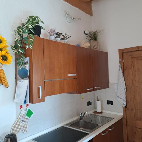 a kitchen with a sink and wooden cabinets at Valtellina Grosotto Holidays in Grosotto