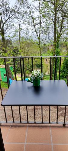 a table with a bowl of flowers on top of it at Piso rural Sol Berguedà in Aviá