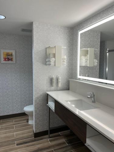 a bathroom with a sink and a mirror and a toilet at Hampton Inn Kansas City Southeast, Mo in Kansas City