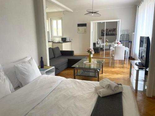 6 minutes walking from Lausanne railway station