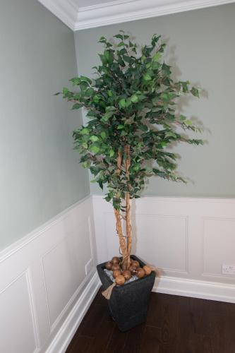 a potted tree in a corner of a room at Penthouse at the White House near Edinburgh in Bathgate