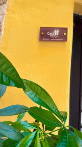 a plant in front of a yellow wall with a sign at La Casa del Don in Capua