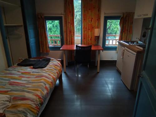 une chambre avec un lit et une table et deux fenêtres dans l'établissement Studio Centre-Ville with shared toilets, à Chambéry