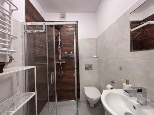 a bathroom with a shower and a toilet and a sink at Apartament A - Rynek 4, Pasym in Pasym