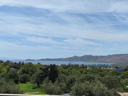 Φυσικό τοπίο κοντά σε αυτό το διαμέρισμα