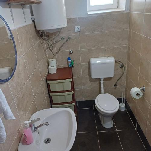 a small bathroom with a toilet and a sink at Stone house in Plužine