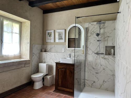 a bathroom with a shower and a toilet and a sink at Domaine du Cèdre Eternel in Saint-Colomb-de-Lauzun