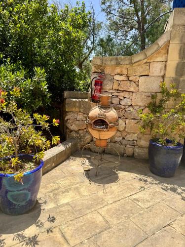 a toilet sitting in the middle of some potted plants at Ta Skorba Farmhouse Mgarr in Mġarr