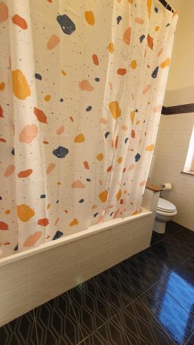a bathroom with a shower curtain and a toilet at Casa Nonna Rosa in Balestrate