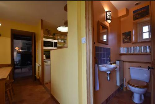 une petite salle de bain avec toilettes et lavabo dans l'établissement Gîte du Netz, à Appeville