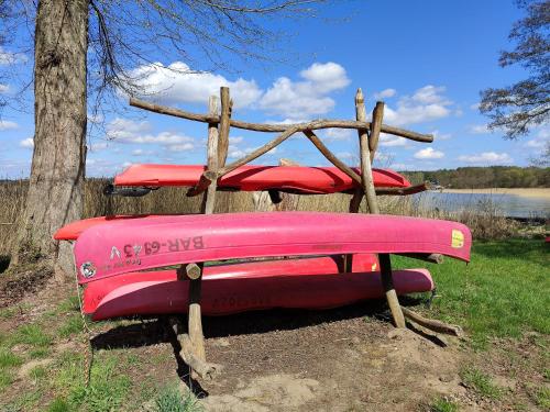 a red park bench sitting next to a tree at TinyHouse "Comet" am See, an der Mecklenburger Seenplatte in Fürstenberg-Havel