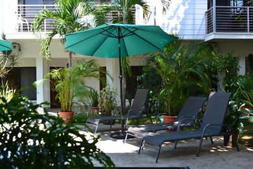 a group of chairs and an umbrella in front of a building at Wide Mouth Frog Quepos in Manuel Antonio