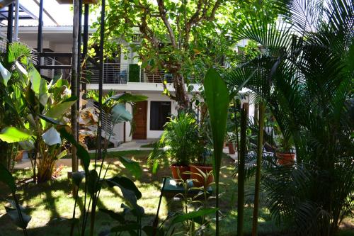 a garden with trees and plants in front of a building at Wide Mouth Frog Quepos in Manuel Antonio