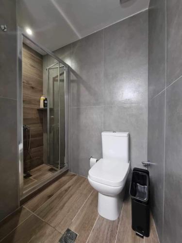 a bathroom with a toilet and a walk in shower at Arianna's House in Ierapetra