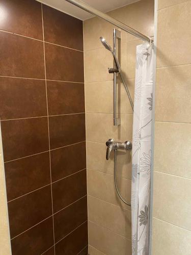 a shower with a shower curtain in a bathroom at Gelezinis in Vilnius