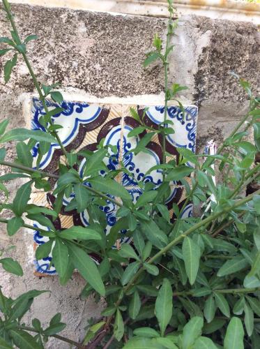 a blue and white vase sitting next to a plant at Favignana Vacanze in Favignana