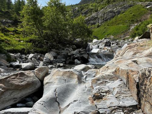 Příroda nedaleko apartmánu