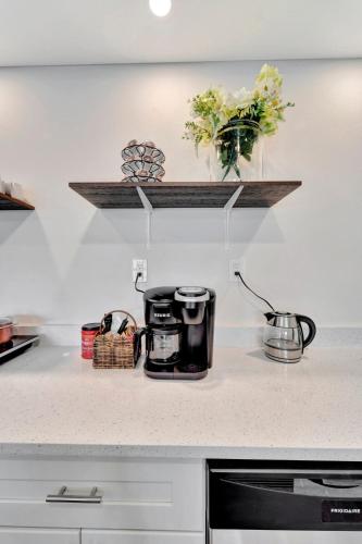 a kitchen counter with two vases on a shelf at 2 Kitchens, Pool, Ping Pong, Corn Hole, BBQ in Venice
