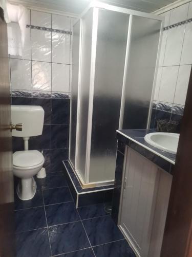 a bathroom with a toilet and a sink at Casa mãe in Lajes do Pico