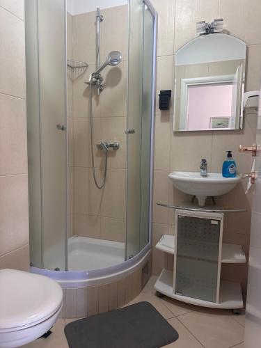 Apartment Viktoria