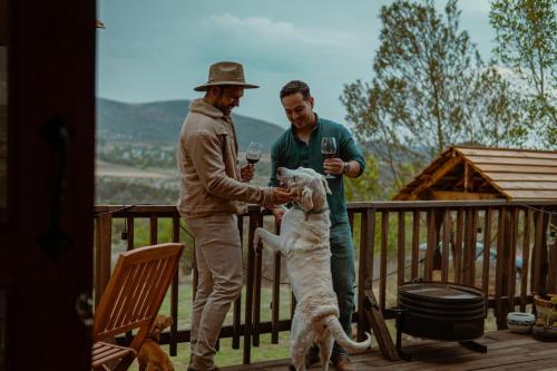 two men with wine glasses and a dog on a deck at La Cabaña Alpina de Huimilpan in Pedro Escobedo