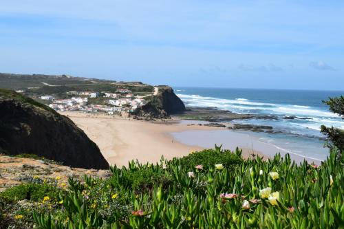 a view of a beach with flowers at Onda Vicentina Guesthouse in Aljezur