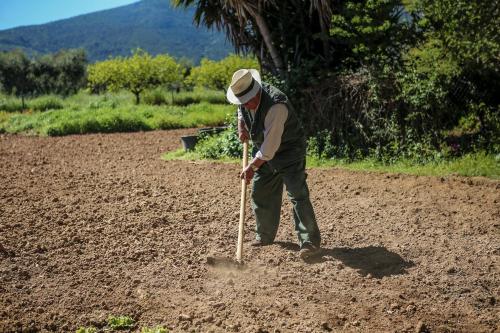 a man standing in the middle of a field at Agriturismo Ristorante Monte Argentario in Monte Argentario