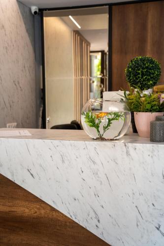 a bowl on a counter with a plant in it at Hotel Aleksandrija in Ohrid