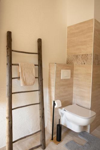 a bathroom with a toilet and a towel rack at Golavškov mlin in Prebold