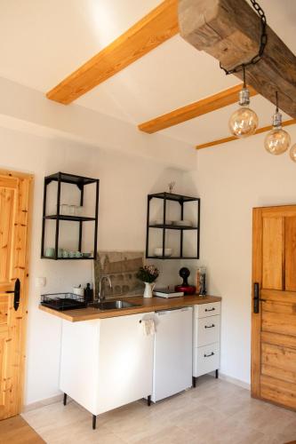 a kitchen with a sink and a counter top at Golavškov mlin in Prebold