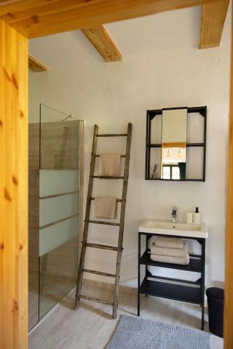 a bathroom with a ladder next to a sink and a mirror at Golavškov mlin in Prebold