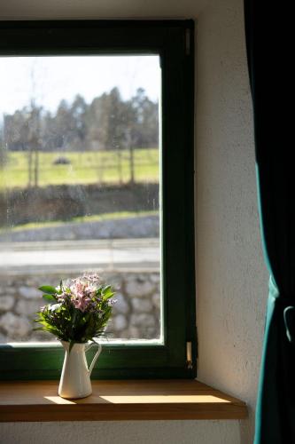 a vase of flowers sitting on a window sill at Golavškov mlin in Prebold