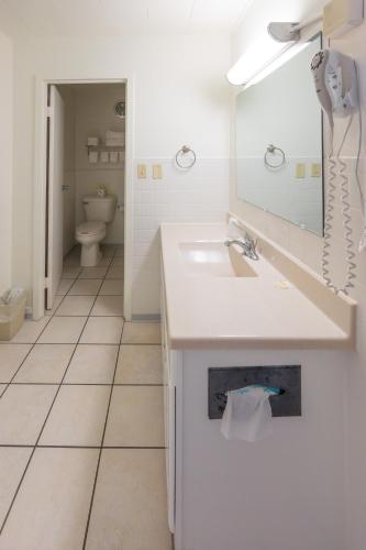 a bathroom with a sink and a mirror and a toilet at Hills Inn in Hot Springs