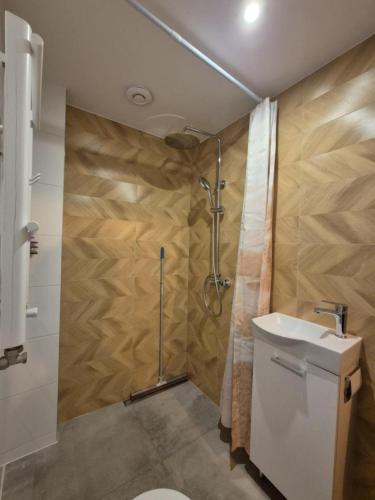 a bathroom with a shower and a toilet and a sink at Agroturystyka u Rolnika - Apartament z klimatem in Stare Nowakowo