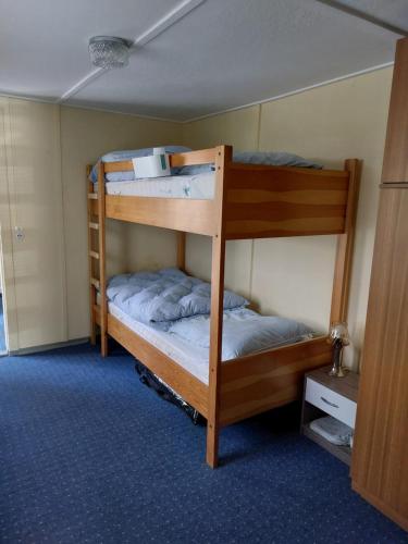 two bunk beds in a room with a blue carpet at Ferienhaus im Wald Mecklenburgische Seenplatte in Wesenberg
