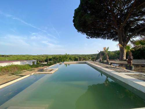 Stone Pines Eco Glamping