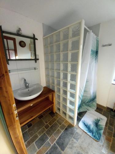 une salle de bain avec un lavabo et un miroir dans l'établissement La maison d olivier, à Sébrazac