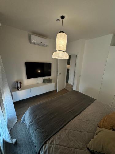 a bedroom with a bed and a flat screen tv at Appartamenti a Carpi in Carpi