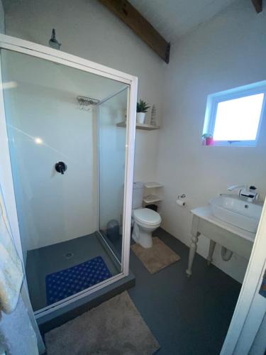 a bathroom with a shower and a toilet and a sink at Sunset View Self- Catering Yzerfontein in Yzerfontein
